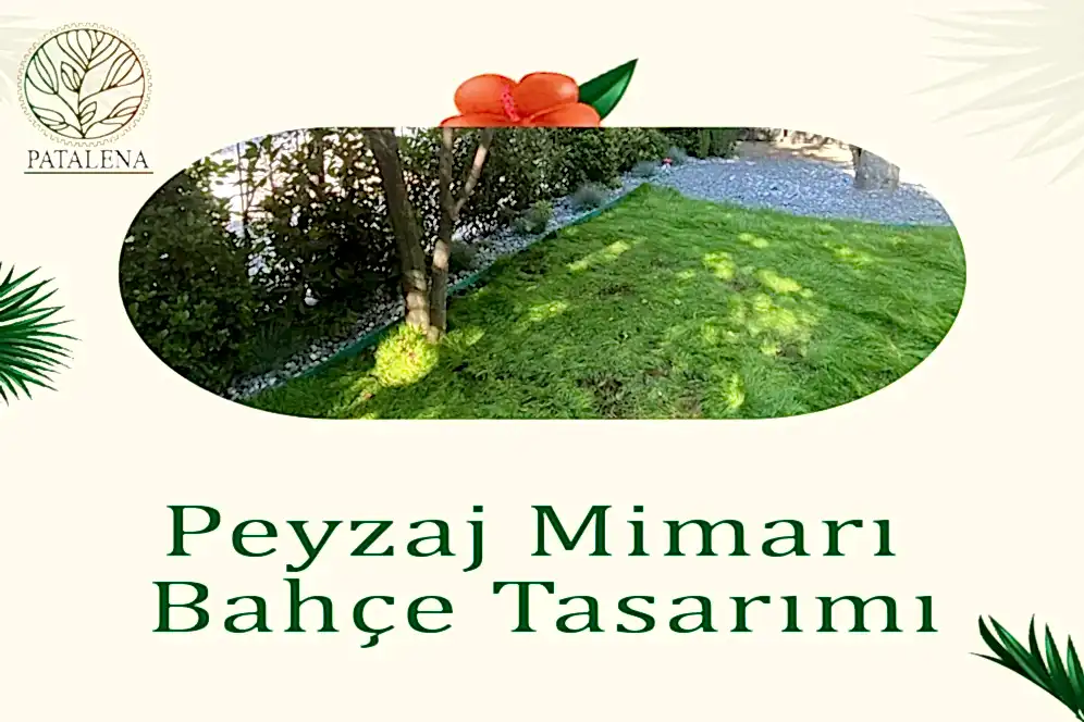 Peyzaj Mimarı Bahçe Tasarımı