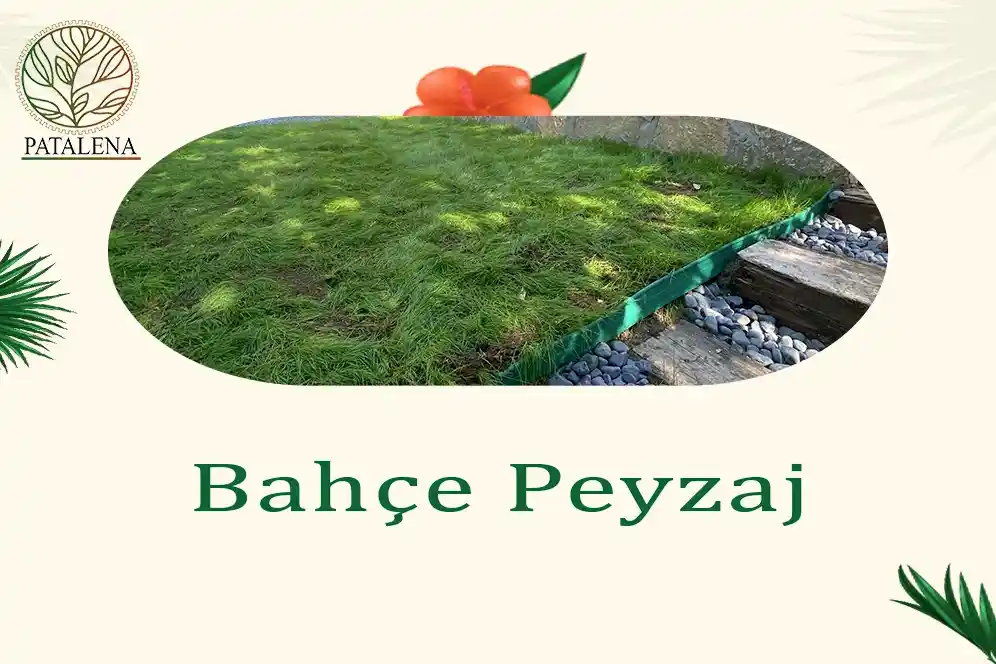 Bahçe Peyzaj